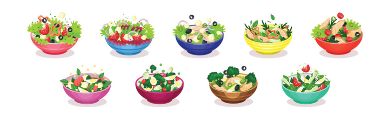 fresh salads in bowl with green vegetables and meat vector set