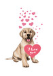 I love you my dog Valentine