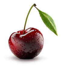 Sour Cherry Isolated. Cherry On Transparent Background. Sour Cherries PNG