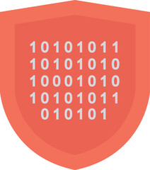 security  programming and development