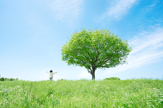 Wall Mural - 一本木のある草原に立つ子供　クリーンエネルギー・環境問題・エコロジー・地球温暖化イメージ