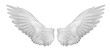 canvas print picture - Realistic angel wings. White wing isolated.  png transparency
