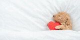 Fototapeta Kawa jest smaczna - Newborn Toy Poodle puppy sleeps under  white blanket on a bed at home and hugs red heart. Top down view. Empty space for text