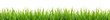 green grass isolated on transparent background, png

