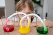 kid doing an experiment with coloured water. concept of learn from home, child STEM education and science for kid.