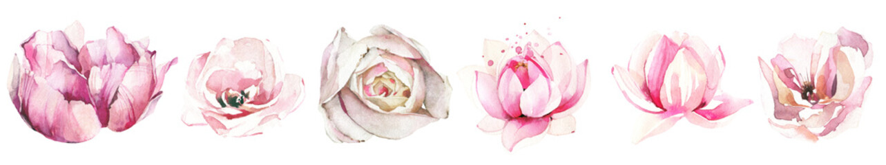 Canvas Print - Watercolor painted set of light pink rose, peony and lotus flowers. Floral collection. Cut out hand drawn PNG illustration on transparent background. Watercolour isolated clipart.