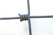 Steel wire fence from the grid with silver polymer coating. Tensile Mesh knotted wire mesh rust-resistant barbed, thick zinc plated. Can withstand tensile strength able to receive impact.