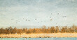 Ilustracja grafika jezioro jasne niebo drzewa i ptaki na horyzoncie.	
