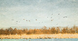 Fototapeta Na ścianę - Ilustracja grafika jezioro jasne niebo drzewa i ptaki na horyzoncie.	

