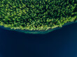 Aerial view of blue water lake  and green summer woods in Finland.