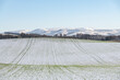 Winter Barley field dusted in snow with distant snow covered hills in the background