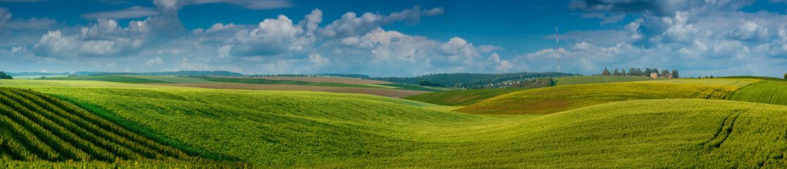 Wall Mural - Panoramic agricultural landscape. A wonderful rural hills landscape in summer.