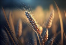 Close Up Wheat Ears With Wheat Field Background,  Idea For World Food Significant Staple Concept, Generative Ai