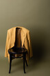 © LIGHTFIELD STUDIOS - fashionable yellow blazer hanging on black wooden chair on olive green background
