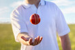 Cricket player bowler throwing up and catching red leather ball ready to bowl