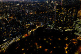 Fototapeta Miasto - Skyscrapersat sunset in Shinjuku, Tokyo, Japan