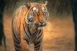 Indian tiger male with first rain, wild animal in the nature habitat, Ranthambore, India. Big cat, endangered animal. End of the dry season, the beginning monsoon, AI generated