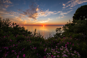 Wall Mural - sunset and flowers over lake