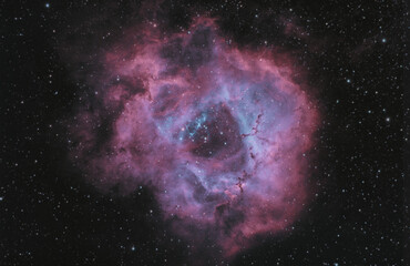 Wall Mural - NGC2244 Rosette Nebula 2023