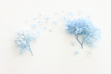 Wall Mural - Top view image of blue Hydrangea flowers over white wooden background .Flat lay