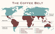The area of the world, known as coffee belt, which includes the major coffee producing countries
