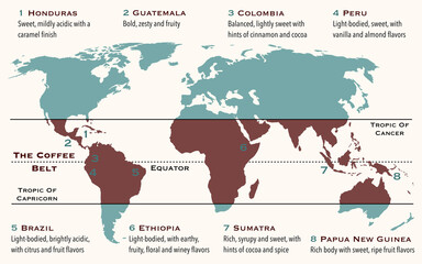 The area of the world, known as coffee belt, which includes the major coffee producing countries