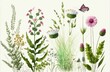 On a white background, ten various flowers from a meadow with grass and a butterfly may be seen in a row. Generative AI