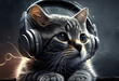 Cat music headphones