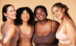 © Nina L/peopleimages.com - Friends, diversity and beauty of women in underwear in studio isolated on a brown background. Portrait, lingerie and self love of body positive happy girls with makeup, cosmetics and healthy skincare