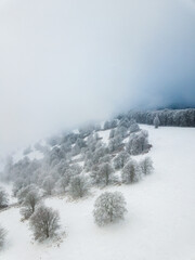 Wall Mural - Winter landscape with snow covered trees in the mountains. Wonderful foggy scene from above.
