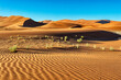 © Cavan Images - Scenic view of desert at sunrise, Sossusvlei, Namibia, Africa
