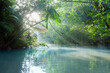 © Cavan Images - Sun shining through trees on river, Orinoco River, Orinoco Delta, Venezuela