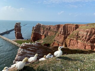 Wall Mural - Helgoland