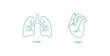 lungs and heart line icon vector illustration 