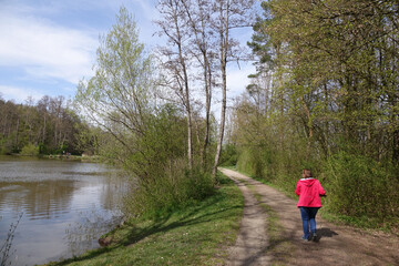 Wall Mural - Wandern an einem See bei Muenster-Breitefeld