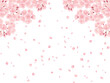 満開の桜と桜吹雪のイラスト