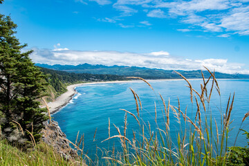 Wall Mural - Coastal Landscapes of Oregon