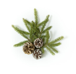 Wall Mural - Composition with fir tree branch and cones isolated on white background. Elements for Christmas greeting card. Holiday decorations