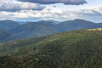 Canvas Print - Les forêts dans les montagnes d'Alsace