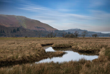 Canvas Print - Lovely calm Winter morning landscape image of view across Manesty Park and Derwentwater towards Catbells mountain in the bakcground