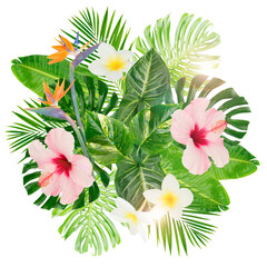 Wall Mural - tropical leaves  and flower sisolated, png file