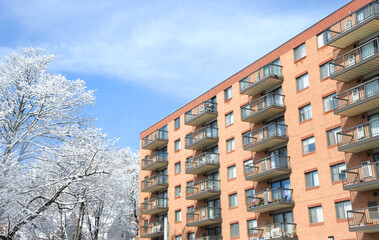 Poster - apartment building and tree branches after snow