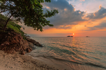 Wall Mural - Tropical beach at sunset.