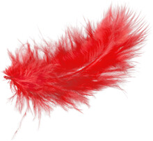 Red Feather, Isolated