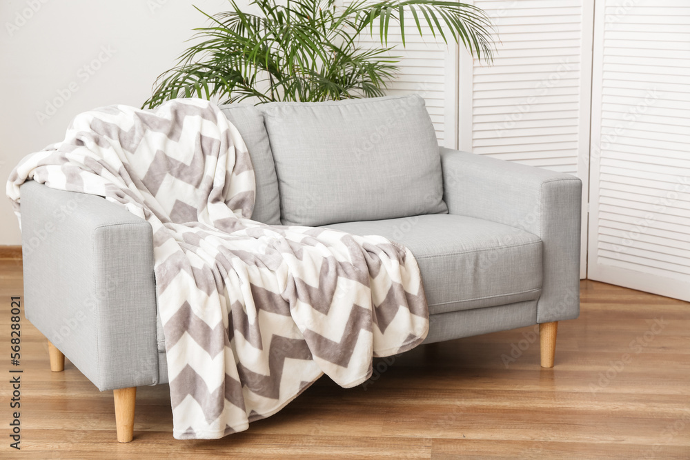 Grey sofa with plaid and palm tree in light living room