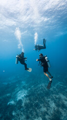 Wall Mural - just married couple doing safety stop with the instructor