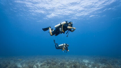 Wall Mural - The loving couple dives among corals and fishes in the ocean