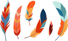Bird Feathers In Flat Style, Vector