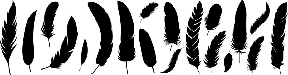 Wall Mural - collection of bird feathers silhouette ,design isolated, vector