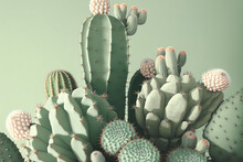 Background With Cacti. AI Generated Image.